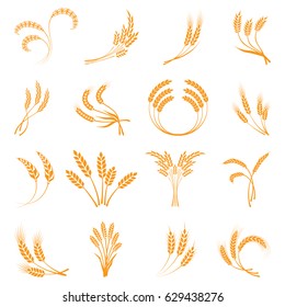 Symbols. for logo design Wheat. Agriculture, corn, barley, stalks, organic plants, bread, food natural harvest vector illustration on white background isolated