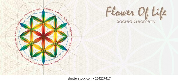 Symbols of sacred geometry, depict fundamental aspects of space and time. Flower of life symbol variations in letter format.
