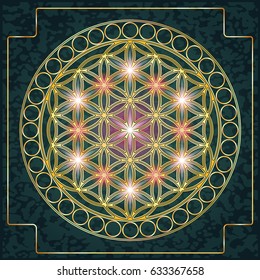 Symbols of sacred geometry, depict fundamental aspects of space and time.Flower of life symbol variations.