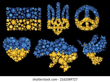 Symbols of Ukraine of yellow and blue flowers Colors of Ukrainian flag