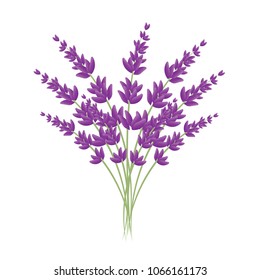 Watercolor Flowers Arctic Flowers Bouquet Lupines Stock Illustration ...