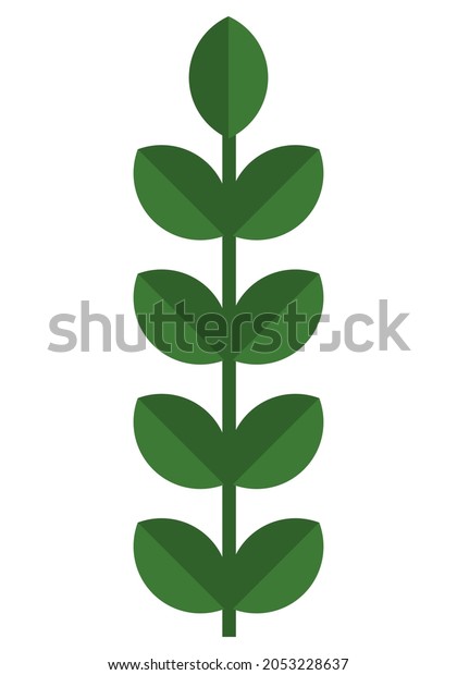 Symmetric\
decorative floral pattern Green branch Simple leaves Vector\
illustration Isolated on white\
background