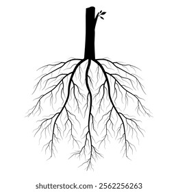 symmetric root silhouette with trunk and leaves