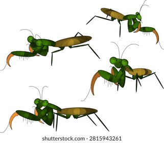 Symmetrical 3D visualization of a stylized predatory mantid asset showcasing the characteristic forelegs, long antennae, and slender thorax