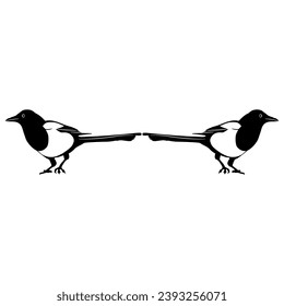 Symmetrical animal design with two Eurasian Magpie birds. (Pika pika). Black and white silhouette.