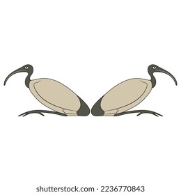 Symmetrical animal design with two ibises. Ancient Egyptian sacred bird. Isolated vector illustration.
