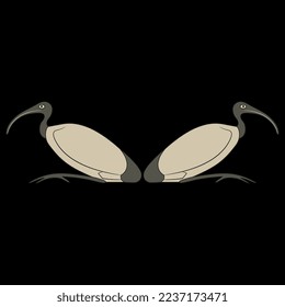Symmetrical animal design with two ibises. Ancient Egyptian sacred bird. On black background.