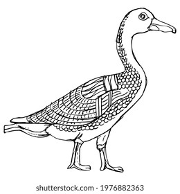 Symmetrical animal design with two kissing goose or duck birds in profile. Ancient Egyptian style. Hand drawn linear doodle rough sketch. Black silhouette on white background.