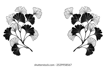 Composição simétrica de preto, contorno, desenhado artisticamente ginkgo biloba galhos no fundo branco. Ginko Biloba.