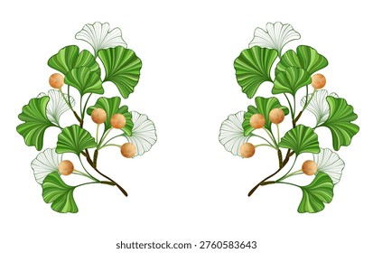 Symmetrical composition of green, artistically drawn ginkgo biloba branches with green leaves and yellow berries, on white background. Green Ginkgo Biloba.
