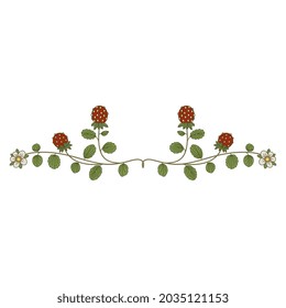 Symmetrical Floral Border With Two Strawberry Blanches. Illuminated Manuscript Botanical Motif.