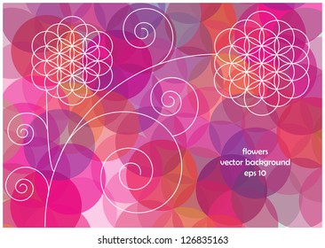 symmetrical floral motives made of spirals and circles in white silhouette isolated on pink background with place for text