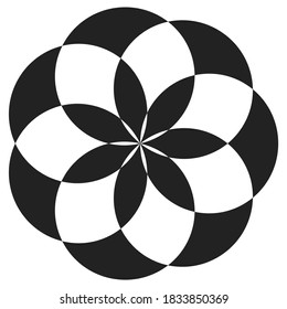 symmetrical floral pattern growing outwards