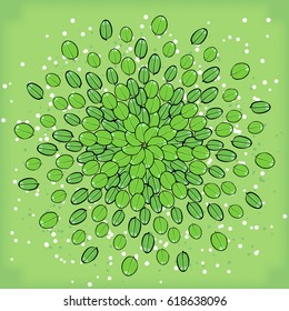 Symmetrical geometric circular pattern composition of plants. Natural wallpaper on a green background.