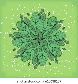 Symmetrical geometric circular pattern composition of plants. Natural wallpaper on a green background.