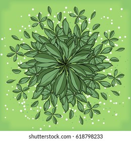 Symmetrical geometric circular pattern composition of plants. Natural wallpaper on a green background.