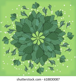 Symmetrical geometric circular pattern composition of plants. Natural wallpaper on a green background.