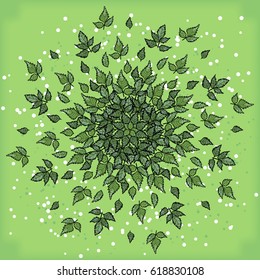 Symmetrical geometric circular pattern composition of plants. Natural wallpaper on a green background.