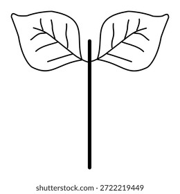 A symmetrical leaf illustration in clean line art style, symbolizing balance, growth, and harmony in nature-inspired designs.