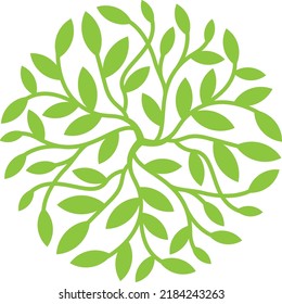 A symmetrical leaves forming circle	
