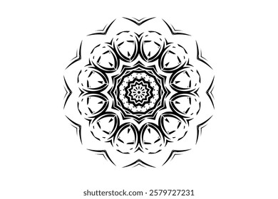 Symmetrical Mandala Artwork Featuring Floral Geometric Patterns for Meditation	
