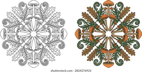 A symmetrical mandala design featuring intricate illustrations of mushrooms, oak leaves, and fern fronds, presented in both line art and colored versions.