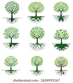 Symmetrical Nature Tree Vector Bundle Set