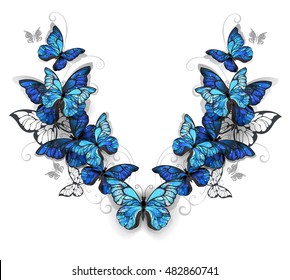 Symmetrical pattern blue  realistic morfid butterflies white background 
