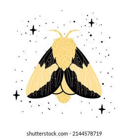 Symmetrical silhouette of butterfly on black background. Vector illustration
