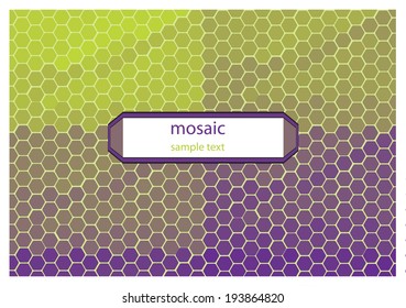 symmetrical vector combs background with frame for your text