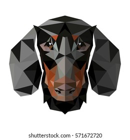 Symmetrical vector illustration of dachshund. Made in low poly triangular style.