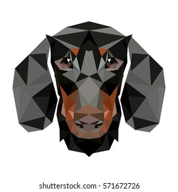 Symmetrical vector illustration of dachshund. Made in low poly triangular style.