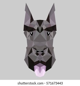 Symmetrical vector illustration of Great Dane. Made in low poly triangular style.