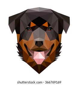 Symmetrical vector illustration of rottweiler dog. Made in low poly triangular style.