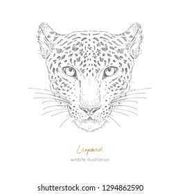 Symmetrical Vector portrait illustration of leopard. Hand drawn ink realistic sketching isolated on white. Perfect for logo branding t-shirt coloring book design.