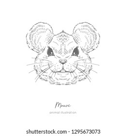 Symmetrical Vector portrait illustration of mouseHand drawn ink realistic sketching isolated on white. Perfect for logo branding coloring book design.