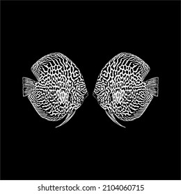 Symphysodon, colloquially known as Discus Fish,  Silhouette Illustration of the Discus Fish for Logo, Icon, Symbol, or Graphic Design Element. Vector Illustration