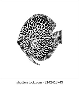 Symphysodon, colloquially known as Discus Fish, Silhouette Illustration of the Discus Fish for Logo, Icon, Symbol, or Graphic Design Element. Vector Illustration