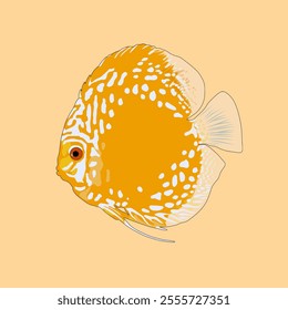 Symphysodon (colloquially known as discus or discus fish) is a genus of cichlids native to the Amazon river basin in Brazil