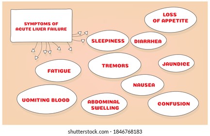 Symptoms Of Acute Liver Failure. Vector Illustration For Medical Journal Or Brochure. 