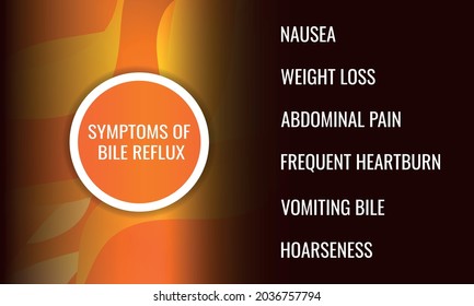 symptoms of Bile reflux. Vector illustration for medical journal or brochure.