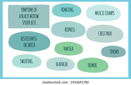 Symptoms Of Black Widow Spider Bite.  Vector Illustration For Medical Journal Or Brochure. 