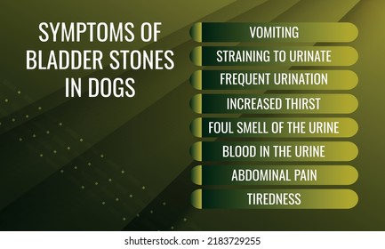 SÍNTOMAS DE PIEDRAS DE Bladder EN PERROS.  Ilustración vectorial para la revista médica o el folleto. 