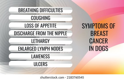 symptoms of breast cancer in female dogs
