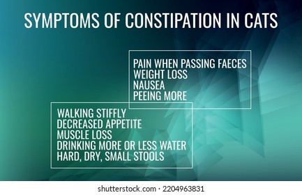 Symptoms Of Constipation In Cats. Vector Illustration For Medical Journal Or Brochure.