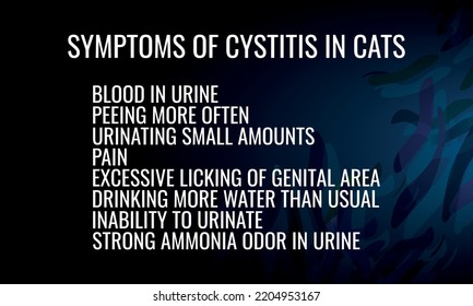 Symptoms Of Cystitis In Cats . Vector Illustration For Medical Journal Or Brochure.