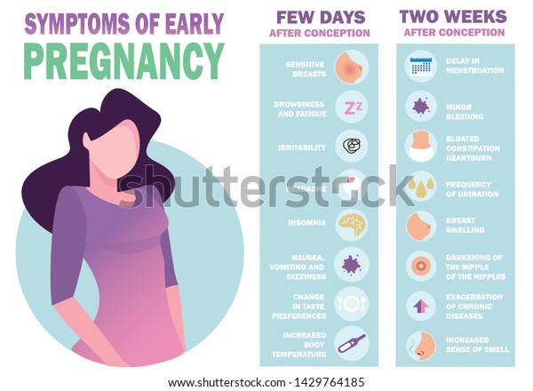 Symptoms Early Pregnancy Detailed Vector Infographic Stock Vector 9350