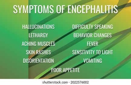 Symptoms of Encephalitis. Vector illustration for medical journal or brochure.
