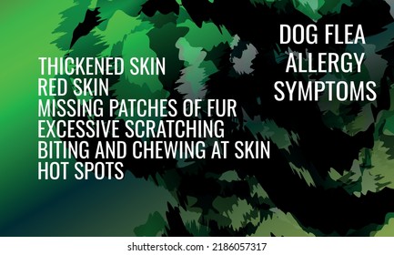 síntomas de alergia a las pulgas en perros.  Ilustración vectorial para la revista médica o el folleto. 