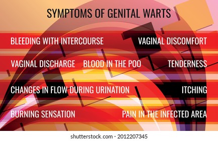 symptoms of genital warts. Vector illustration for medical journal or brochure.
